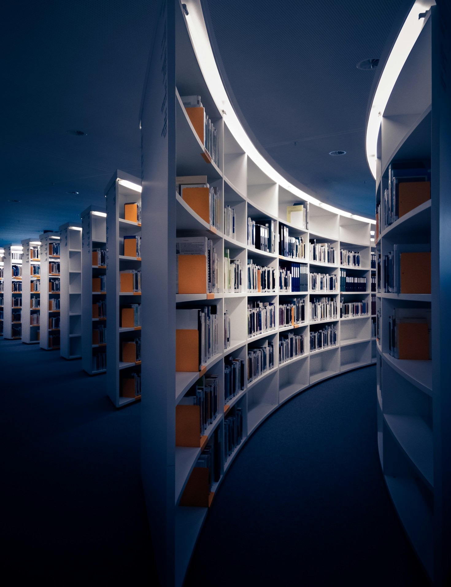 Modern Humanities: A Look Into Contemporary Studies