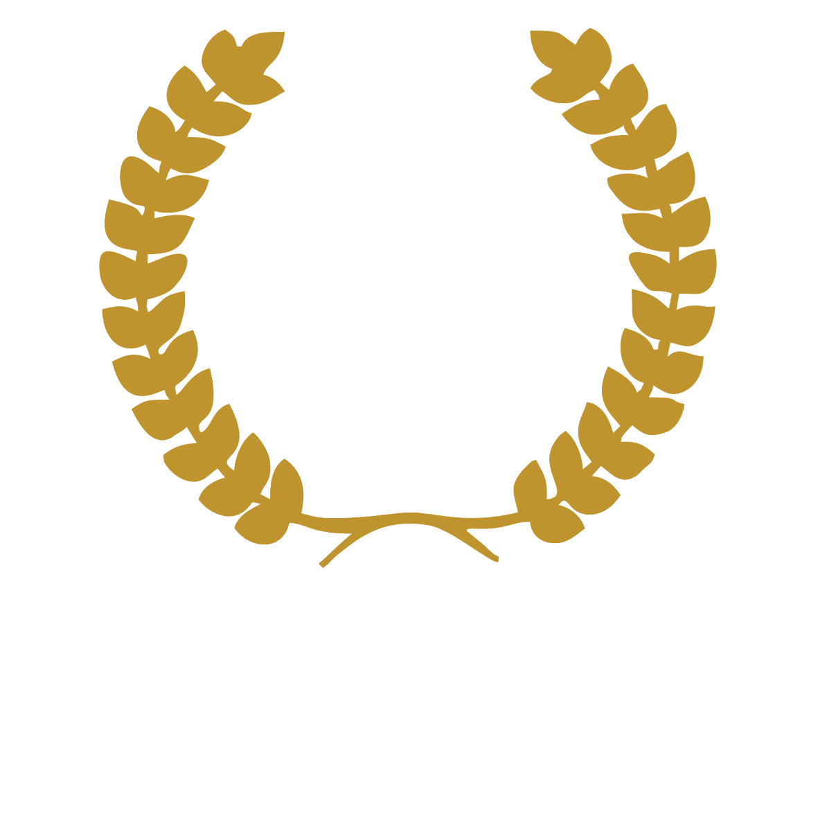 مجلة جامعة القمة الحديثة للعلوم الإنسانية والتطبيقية